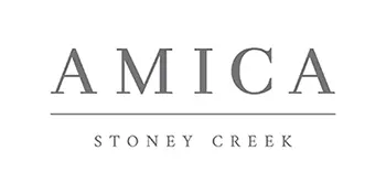 Amica logo
